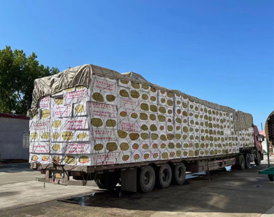 ����г��(zh��n)���O(sh��)�������޹�˾�r���(xi��ng)Ŀ